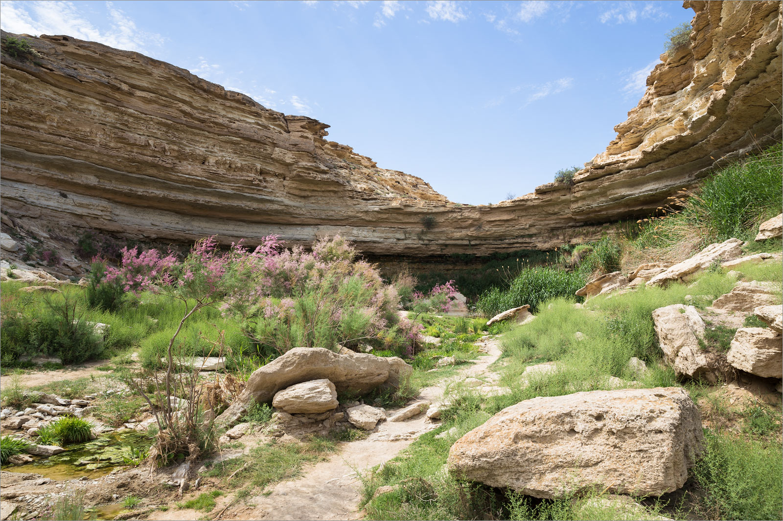 Саура, image of landscape/habitat.