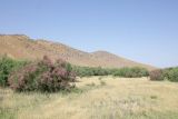 Image of landscape