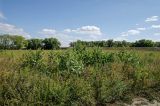 Акъяр, image of landscape/habitat.