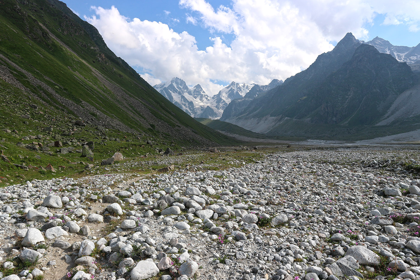 Ледник Псыгансу, image of landscape/habitat.