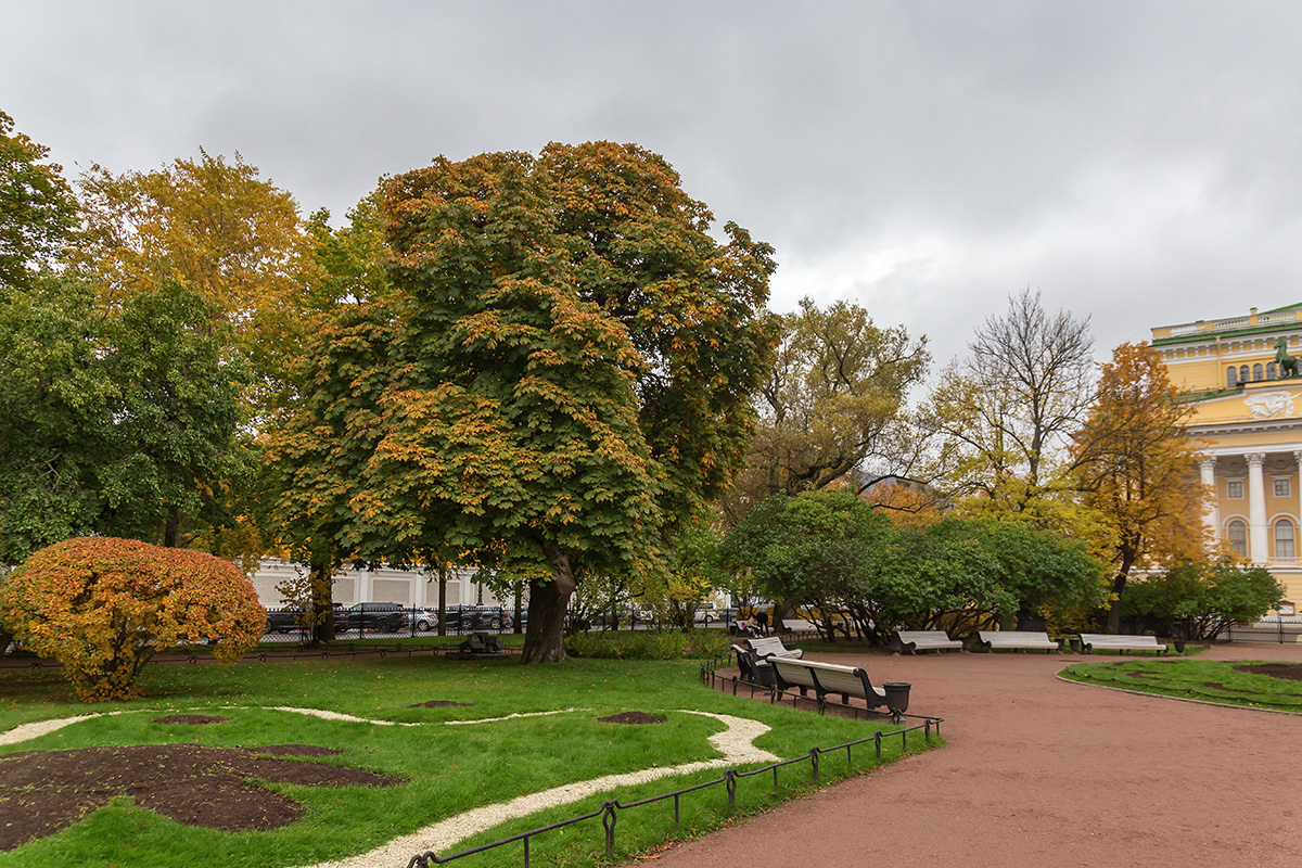 Центральный р-н Санкт-Петербурга, image of landscape/habitat.