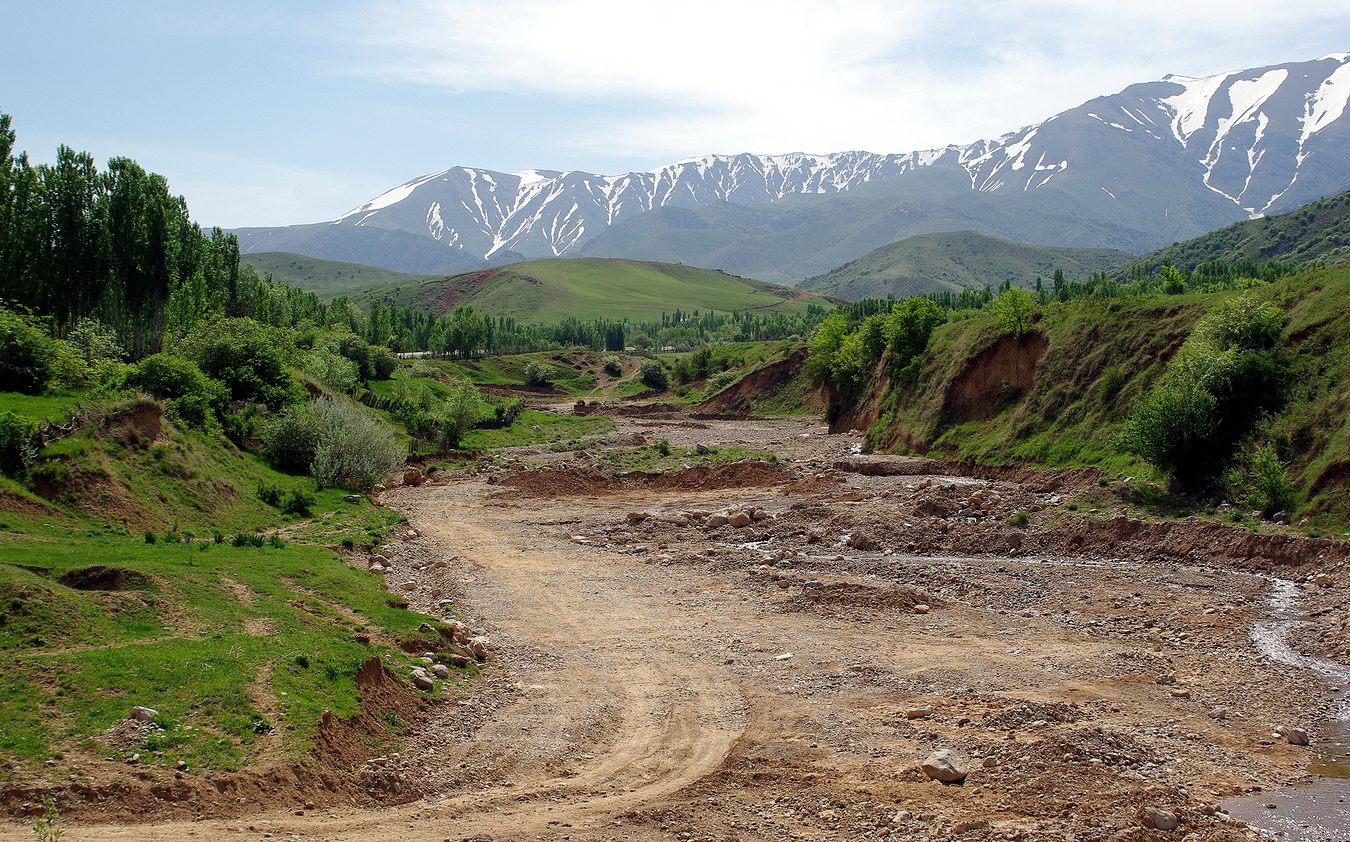 Бадам, image of landscape/habitat.