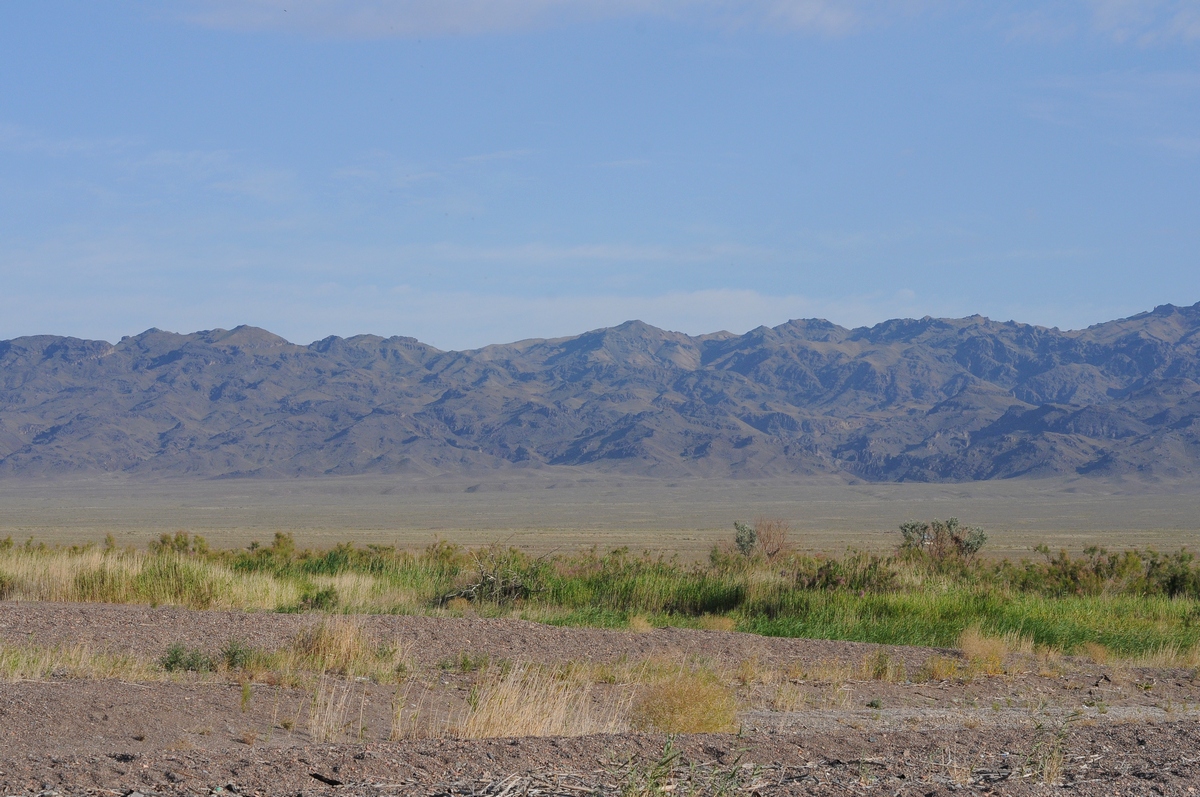 Шолак, image of landscape/habitat.