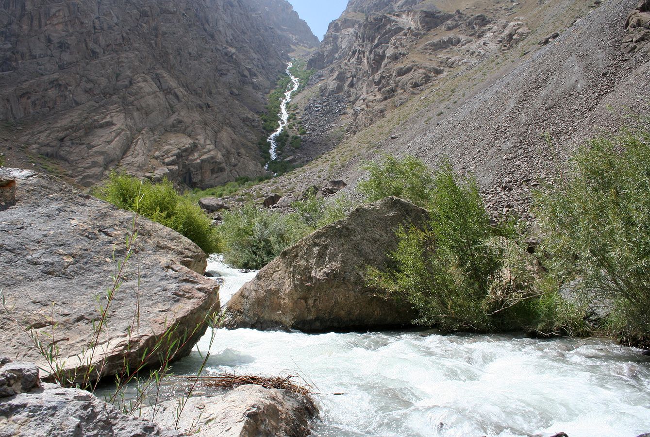 Низовья Бартанга, image of landscape/habitat.