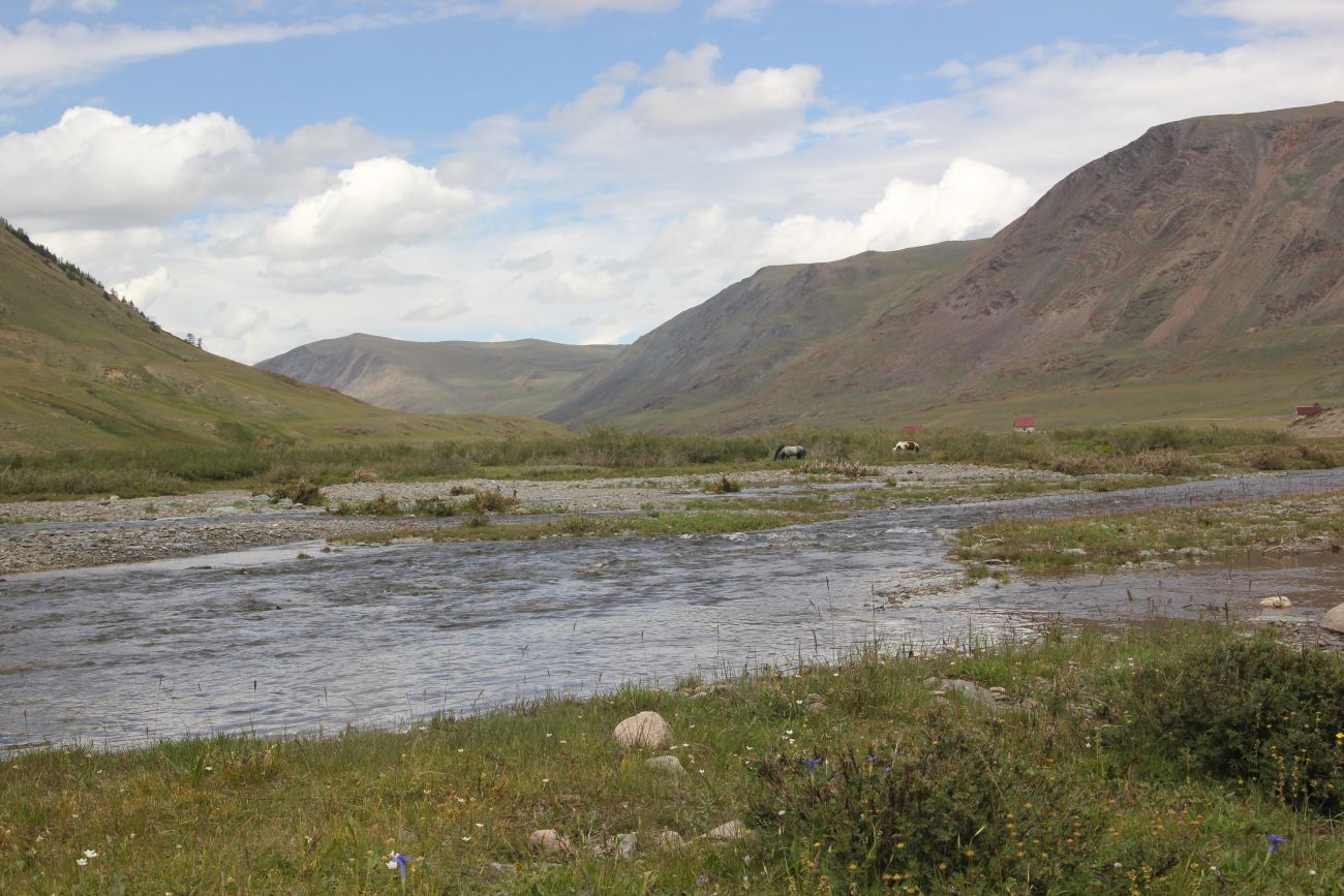 Долина р. Тархата, image of landscape/habitat.