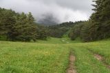 Окрестности урочища Никойте, image of landscape/habitat.