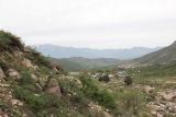 Image of landscape
