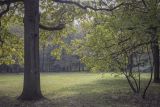 Image of landscape