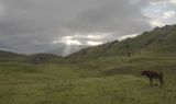 Image of landscape