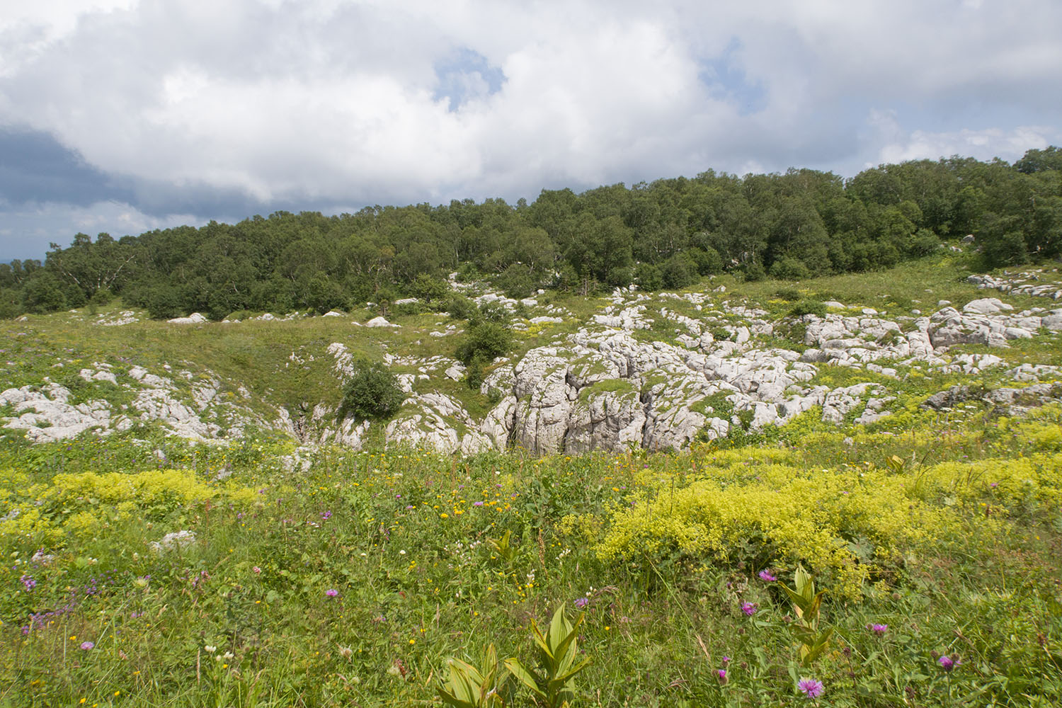 Окрестности Азишского перевала, image of landscape/habitat.