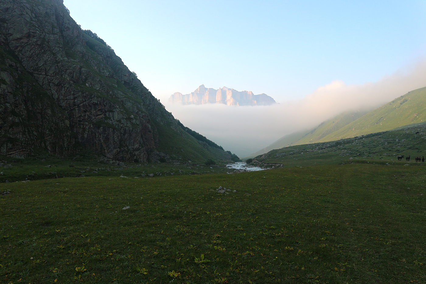Псыгансу в верхнем течении, image of landscape/habitat.