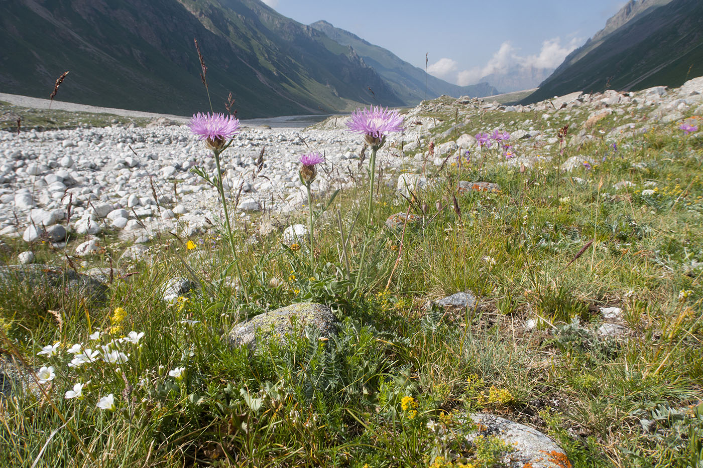 Ледник Нахашбита (Псыгансу), image of landscape/habitat.