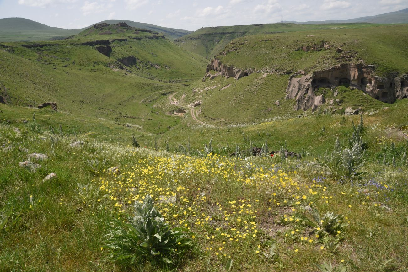 Цахкоцадзор, image of landscape/habitat.