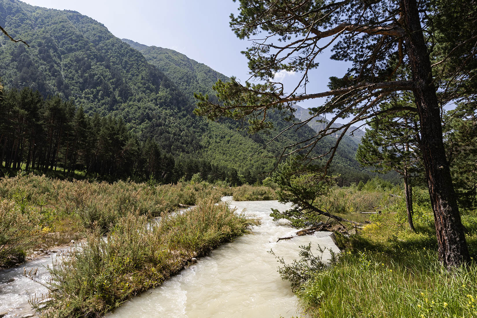 Башиль, image of landscape/habitat.