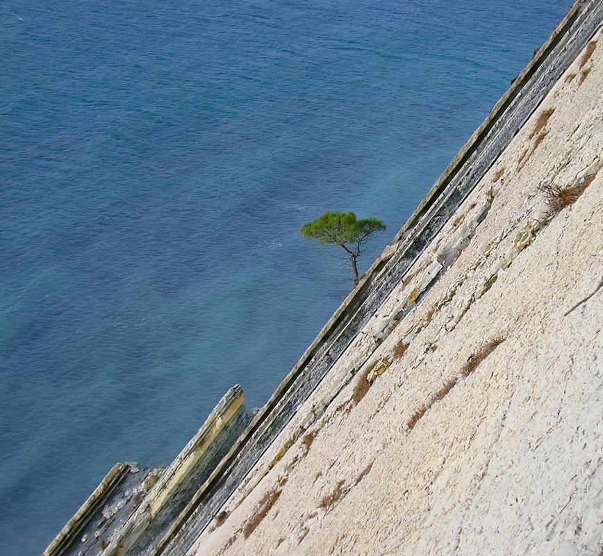 Дооб, image of landscape/habitat.