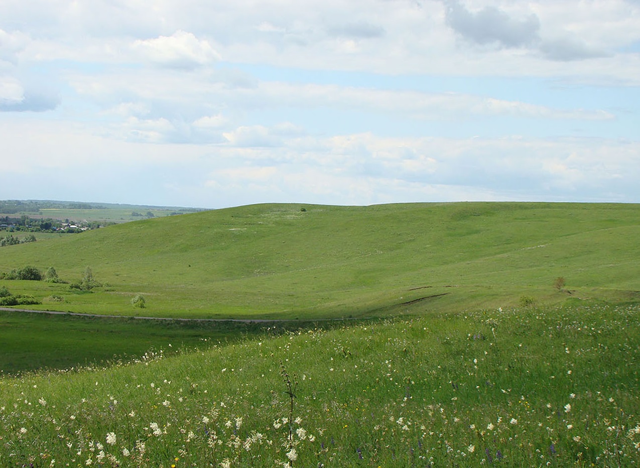 Урочище Кожекладка, image of landscape/habitat.