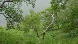 Image of landscape