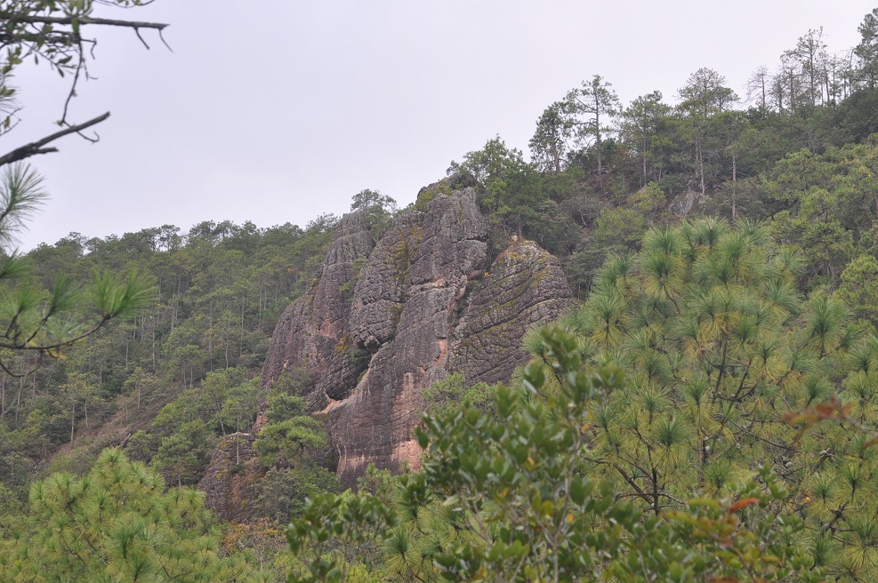 Окрестности храма Шицзхон, image of landscape/habitat.