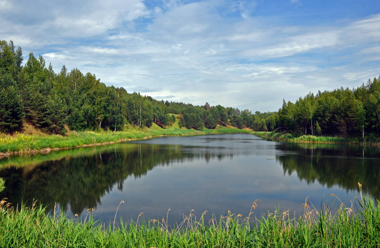 Лопатинские карьеры, image of landscape/habitat.