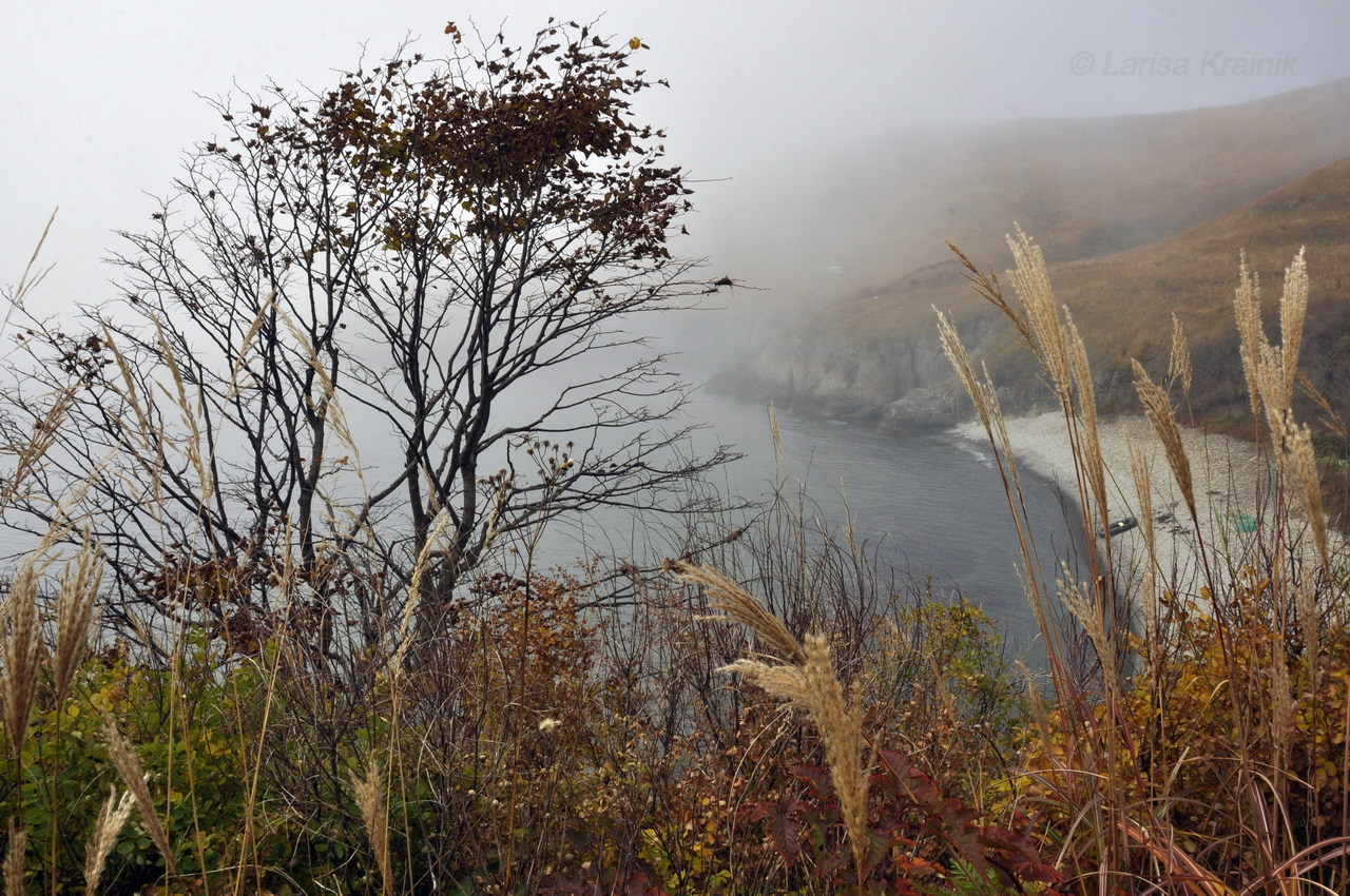 Полуостров Брюса, image of landscape/habitat.