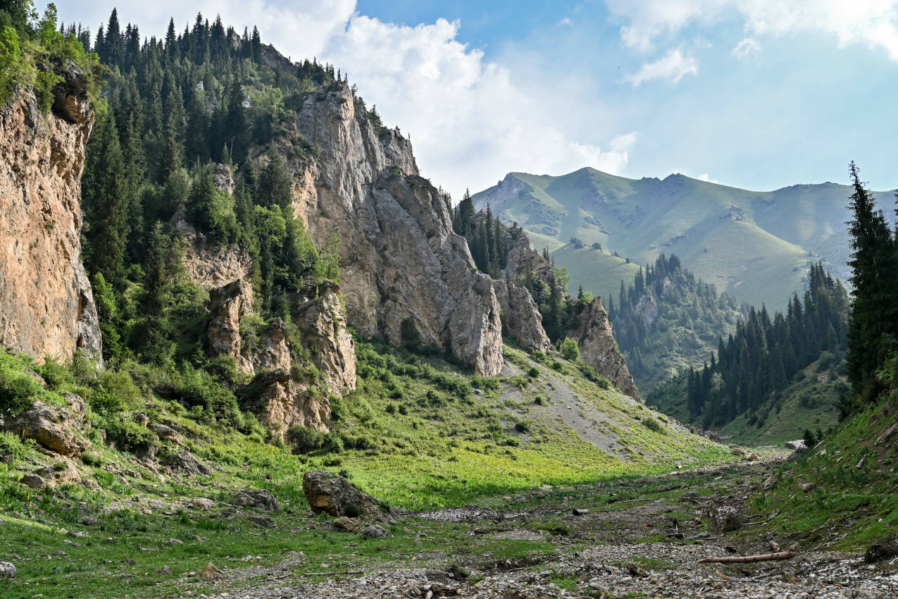 Перевал Кульдамбес, изображение ландшафта.