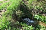 Вечери, image of landscape/habitat.