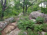 Image of landscape