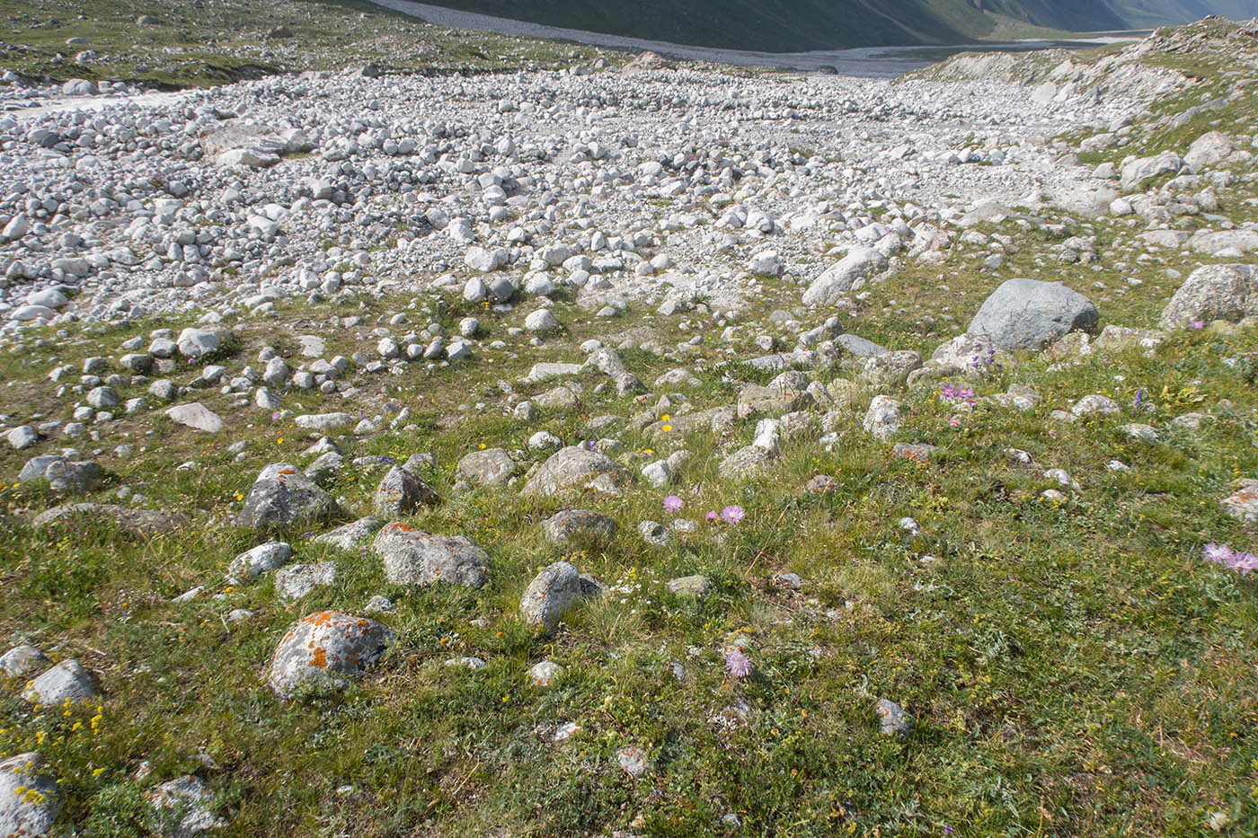Ледник Нахашбита (Псыгансу), image of landscape/habitat.