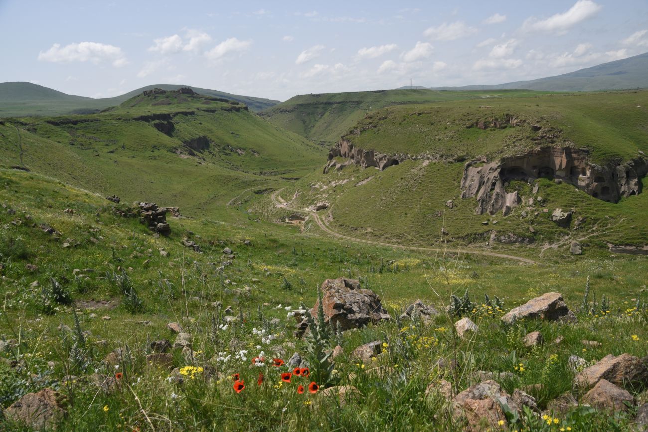 Цахкоцадзор, image of landscape/habitat.