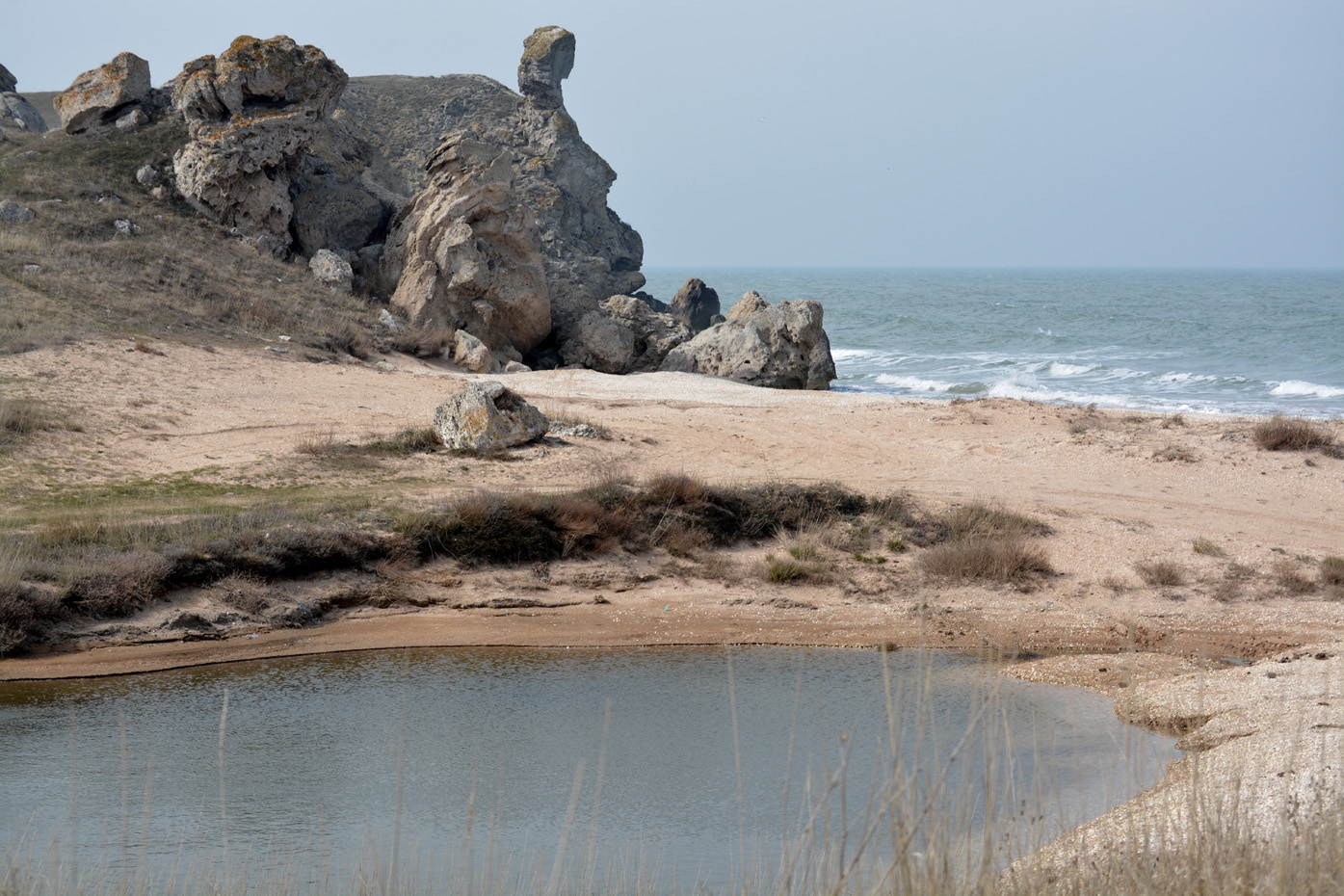 Караларская степь, image of landscape/habitat.