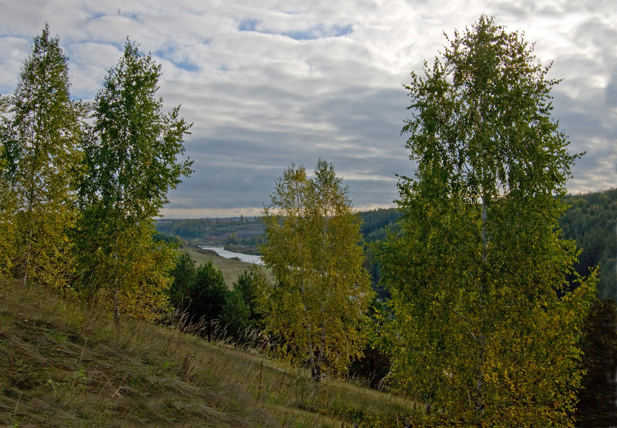 Окрестности деревни Полетаево, image of landscape/habitat.