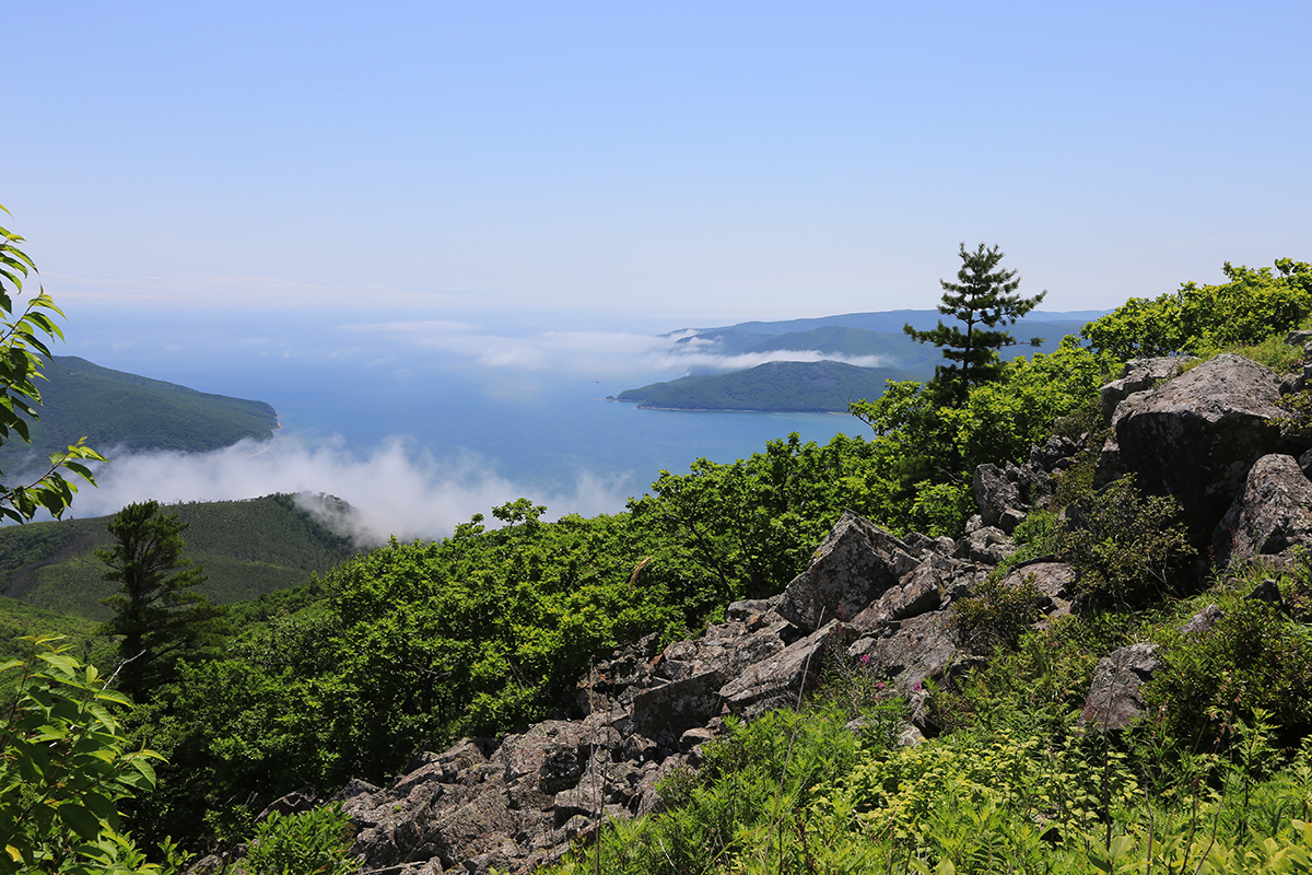 Ольга, image of landscape/habitat.