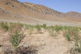 Image of landscape
