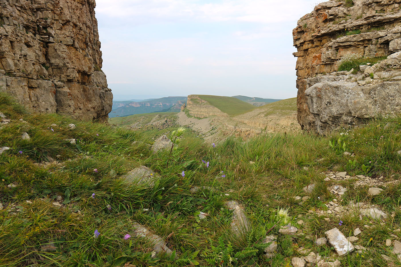 Большой Бермамыт, image of landscape/habitat.