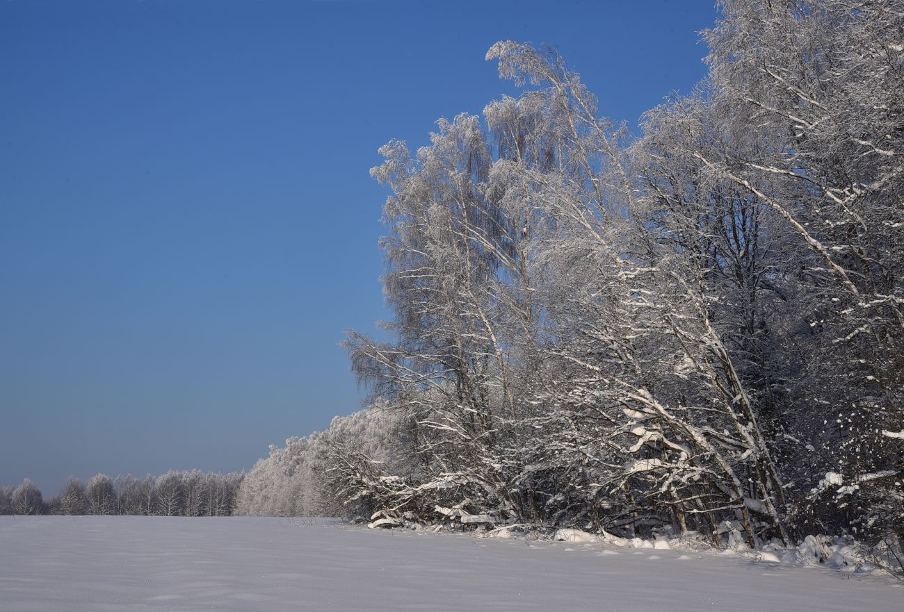 Окрестности деревни Чёлохово, изображение ландшафта.