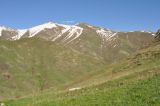 Image of landscape