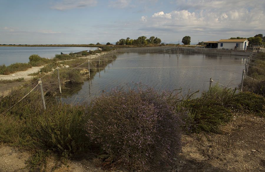 Лефкас, image of landscape/habitat.