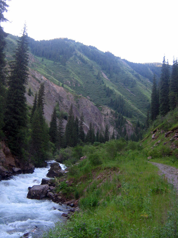 Чинтургеньское ущелье, image of landscape/habitat.