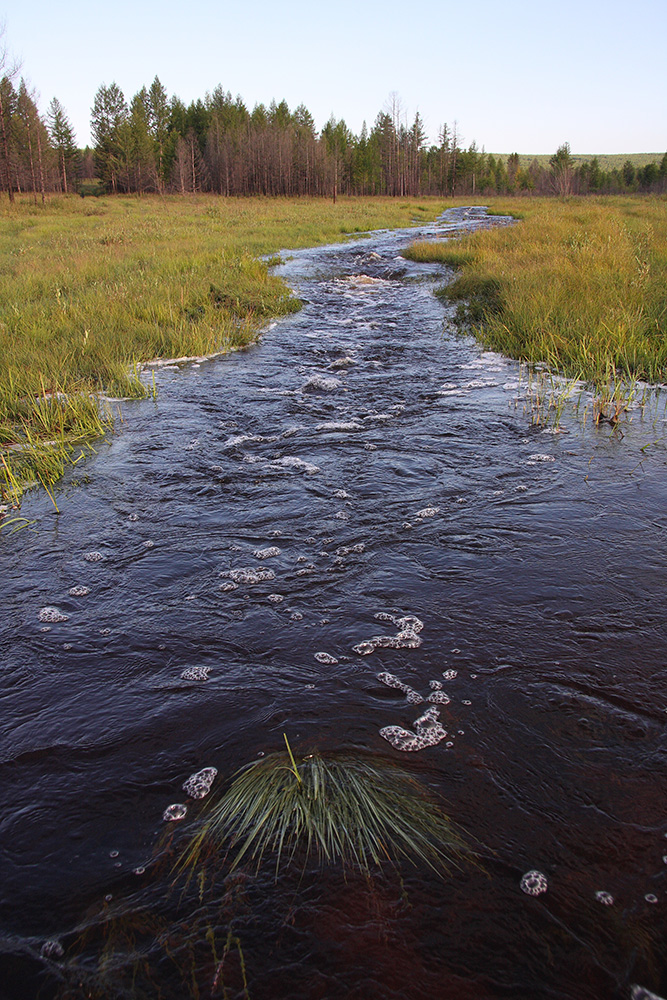 Окрестности Северного, image of landscape/habitat.