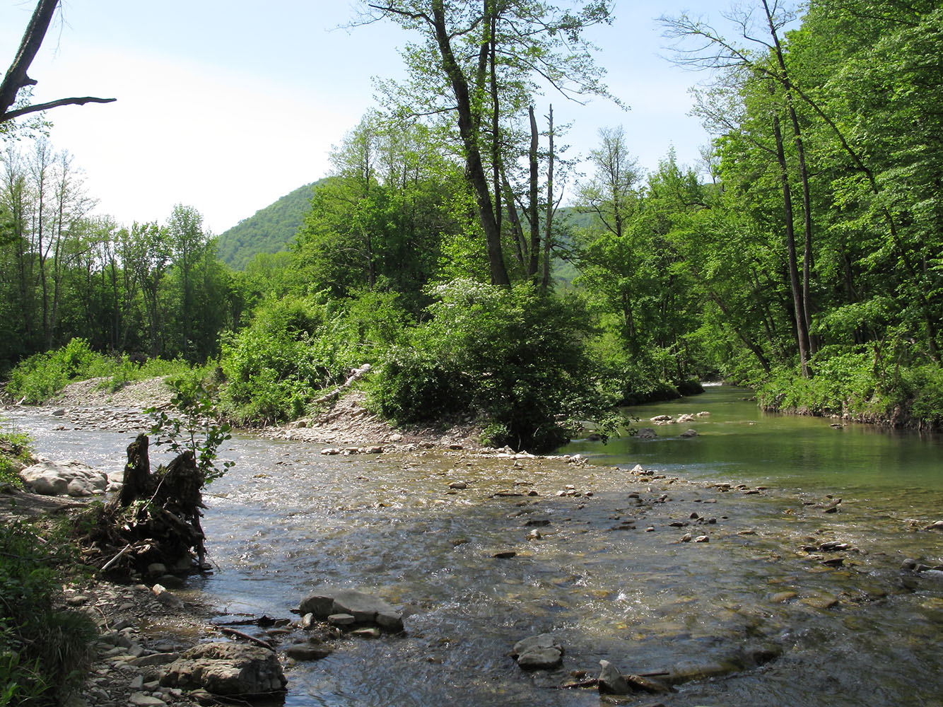 Скобидо, image of landscape/habitat.