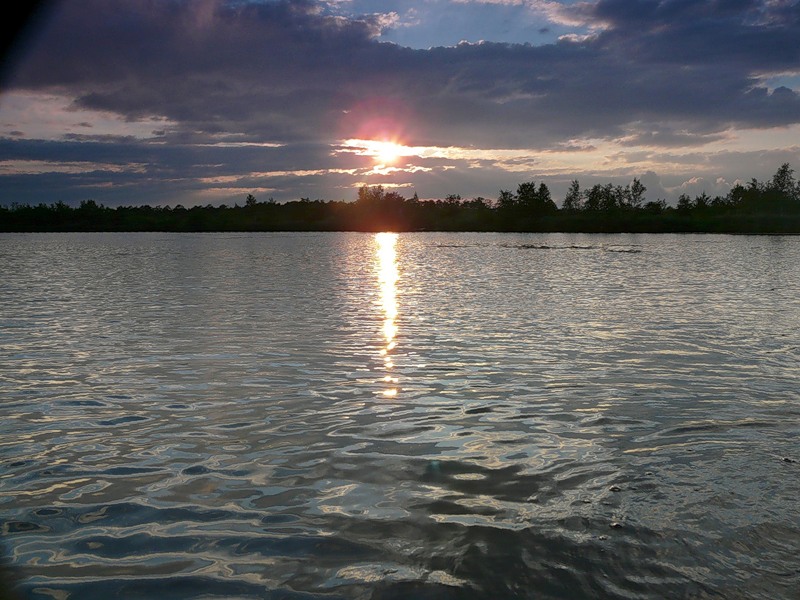 Озеро Полецкое, image of landscape/habitat.