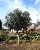 Парк Зарядье, изображение ландшафта.