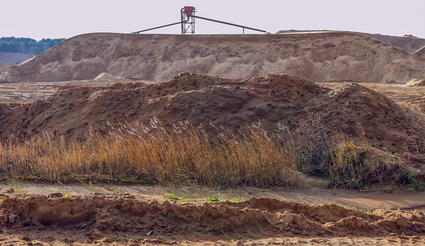 Песчаный карьер, image of landscape/habitat.