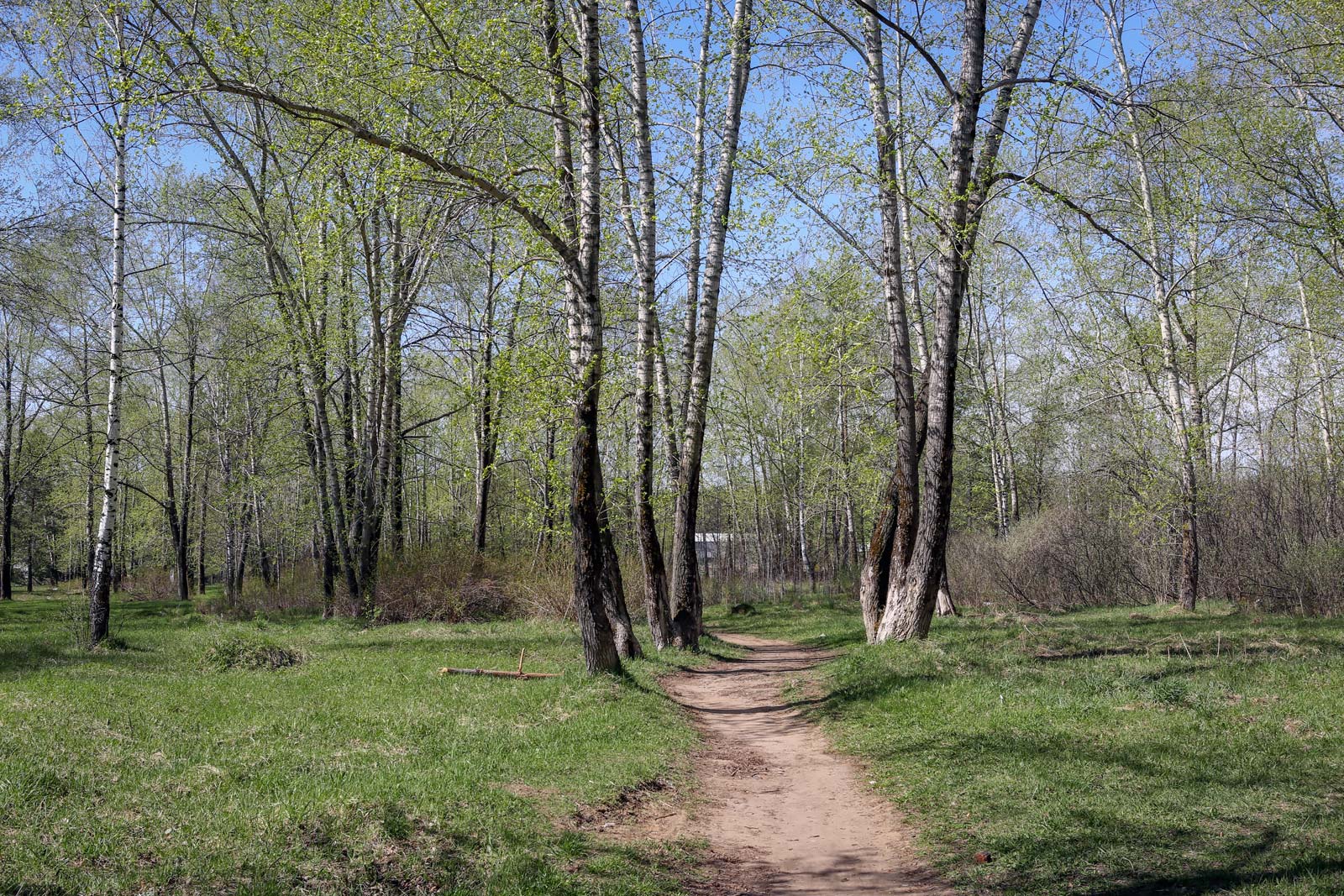 Закамск, image of landscape/habitat.