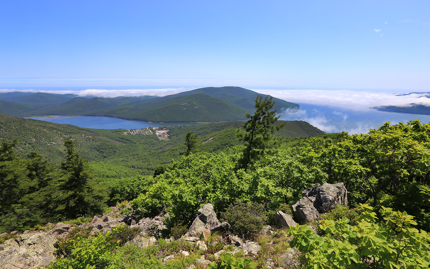 Ольга, image of landscape/habitat.