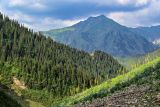 Перевал Кульдамбес, изображение ландшафта.