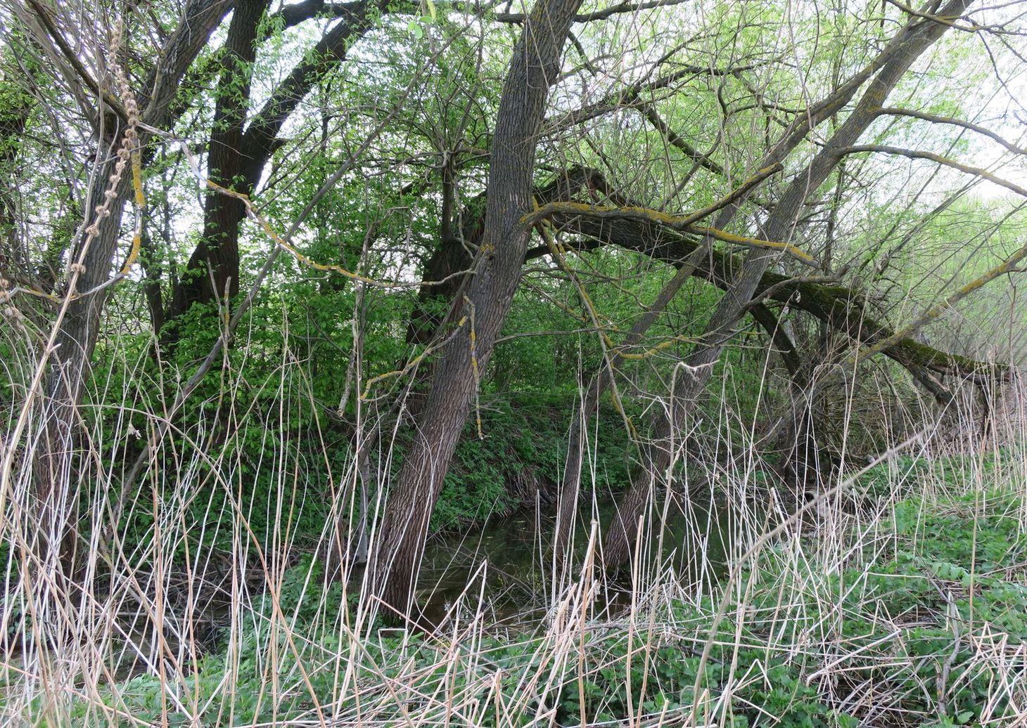 Вечери, image of landscape/habitat.