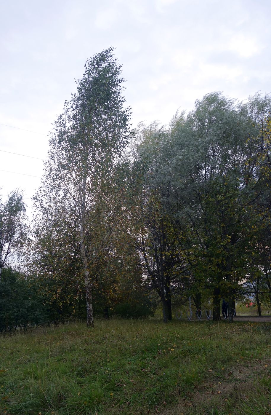 Митино (ландшафтный парк), image of landscape/habitat.