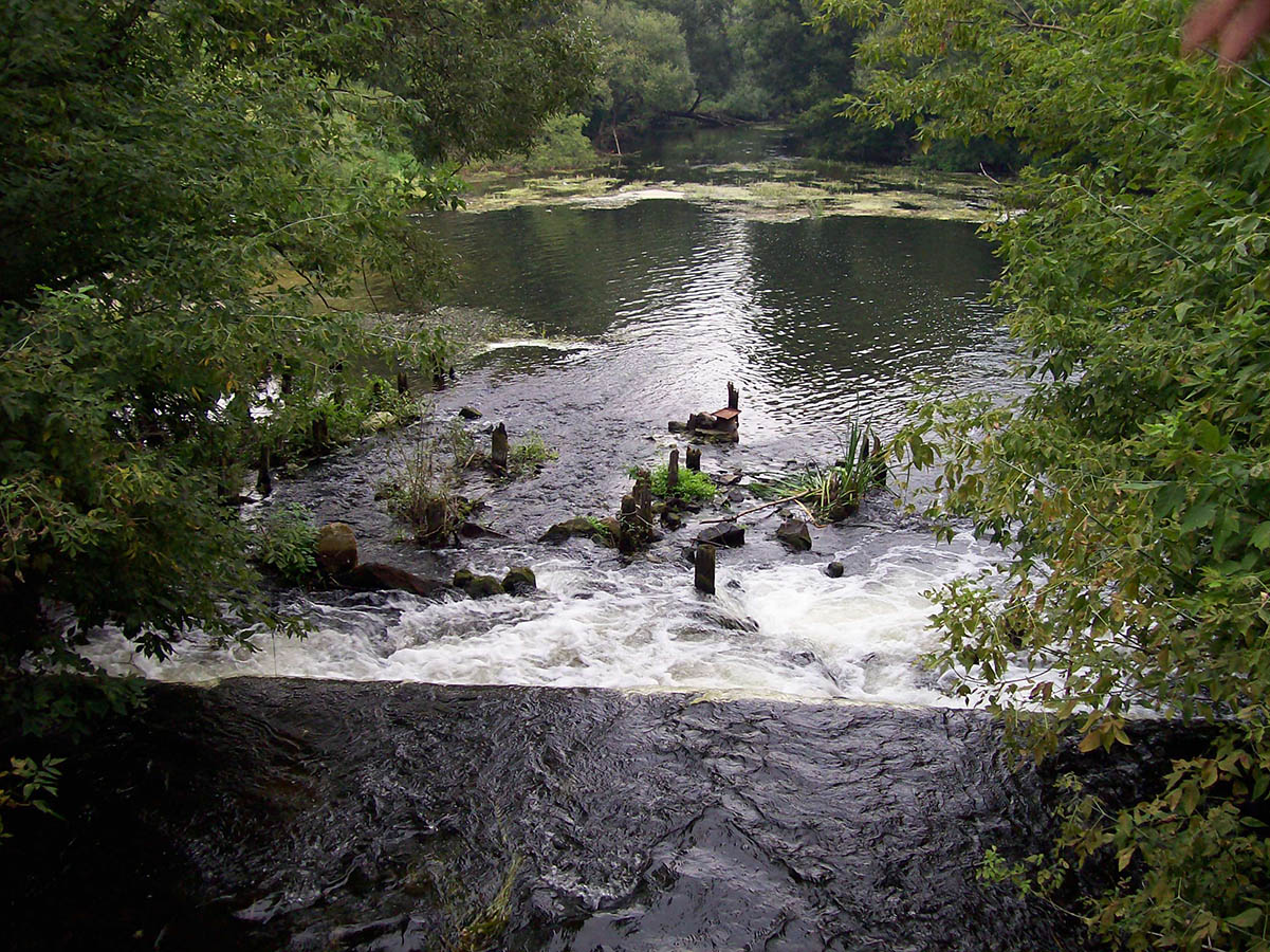 Нижнее течение реки Усожи 2, изображение ландшафта.