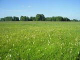 Image of landscape